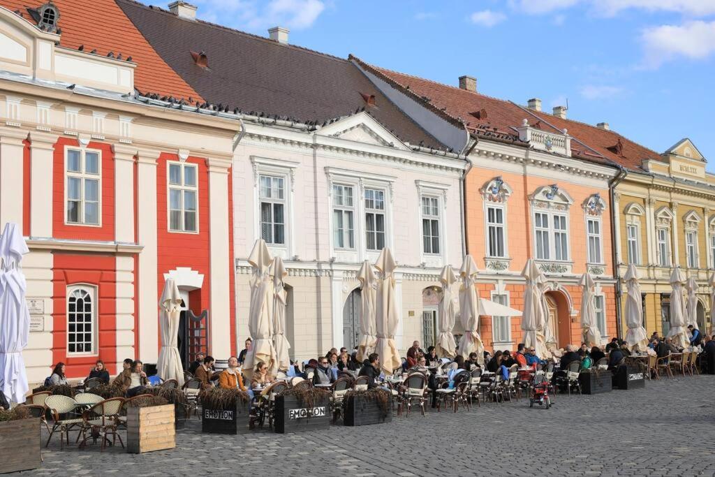 Charming Apartment In Historical City Center Timişoara Exterior foto